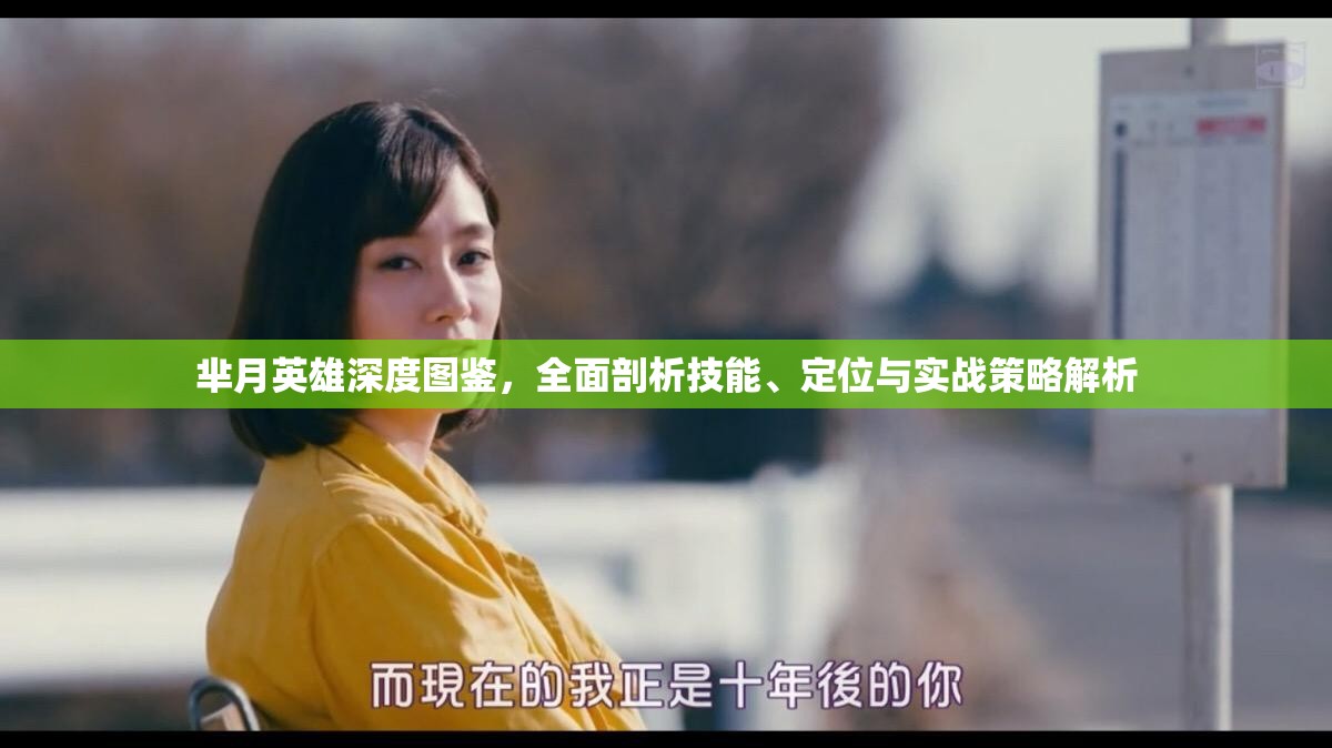 芈月英雄深度图鉴，全面剖析技能、定位与实战策略解析