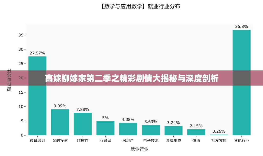 高嫁柳嫁家第二季之精彩剧情大揭秘与深度剖析