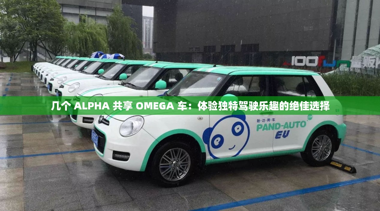 几个 ALPHA 共享 OMEGA 车：体验独特驾驶乐趣的绝佳选择