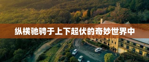 纵横驰骋于上下起伏的奇妙世界中