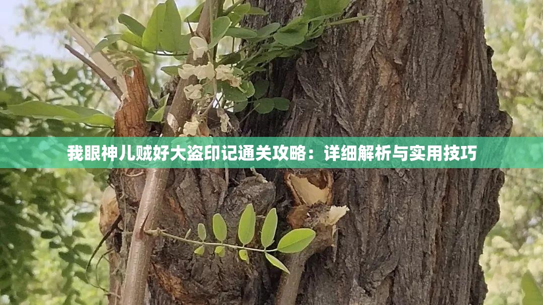 我眼神儿贼好大盗印记通关攻略：详细解析与实用技巧