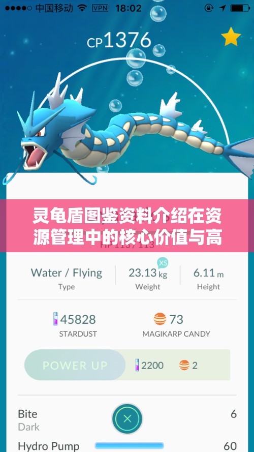 灵龟盾图鉴资料介绍在资源管理中的核心价值与高效整合利用策略