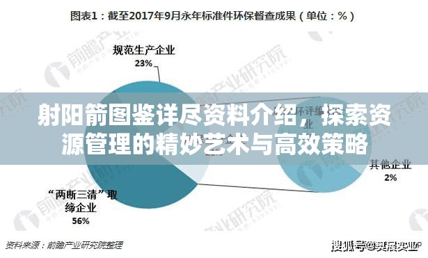 射阳箭图鉴详尽资料介绍，探索资源管理的精妙艺术与高效策略