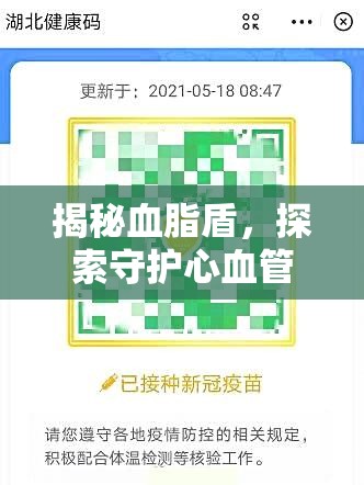 揭秘血脂盾，探索守护心血管健康与身体机能的神秘盾牌