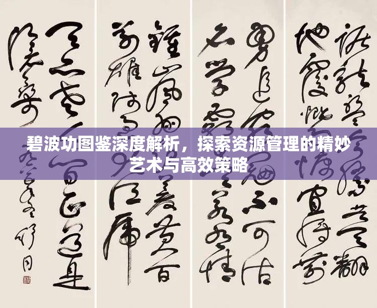 碧波功图鉴深度解析，探索资源管理的精妙艺术与高效策略