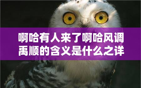 啊哈有人来了啊哈风调禹顺的含义是什么之详细解读与探讨