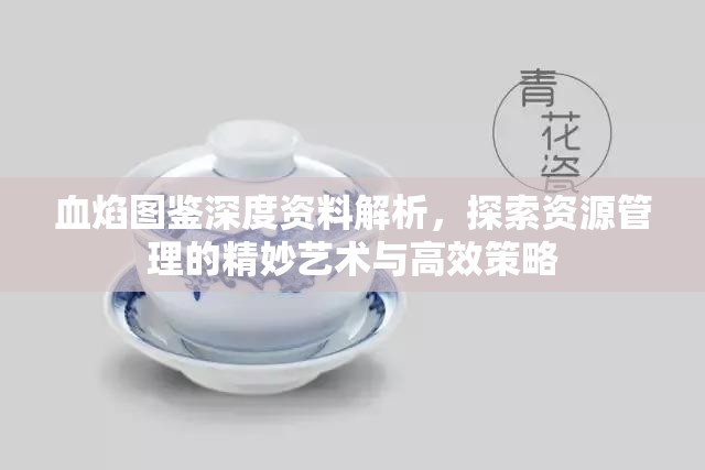 血焰图鉴深度资料解析，探索资源管理的精妙艺术与高效策略
