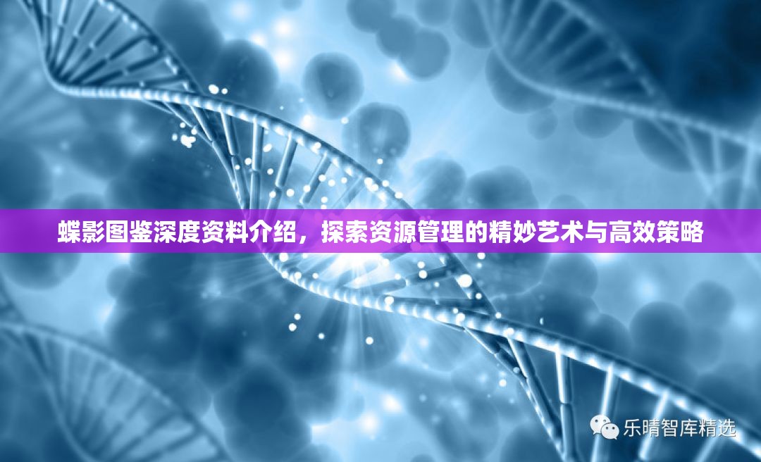 蝶影图鉴深度资料介绍，探索资源管理的精妙艺术与高效策略