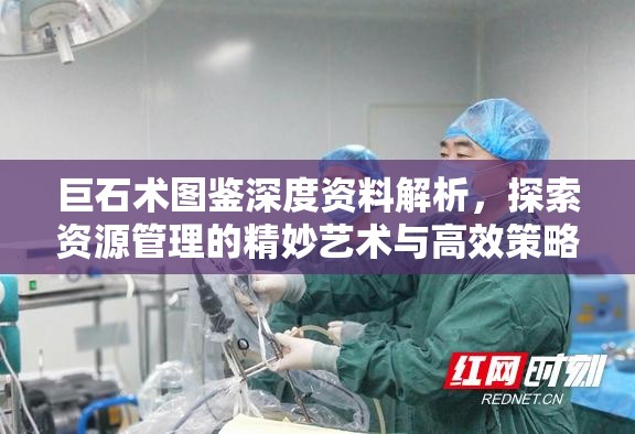 巨石术图鉴深度资料解析，探索资源管理的精妙艺术与高效策略