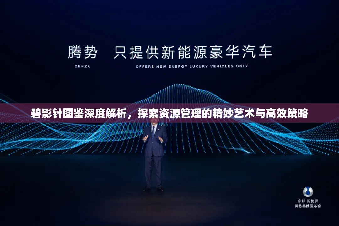 碧影针图鉴深度解析，探索资源管理的精妙艺术与高效策略