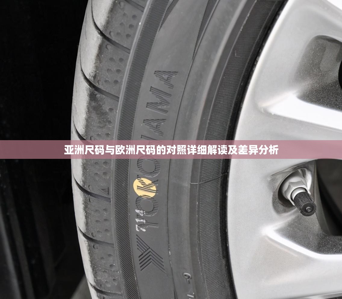 亚洲尺码与欧洲尺码的对照详细解读及差异分析