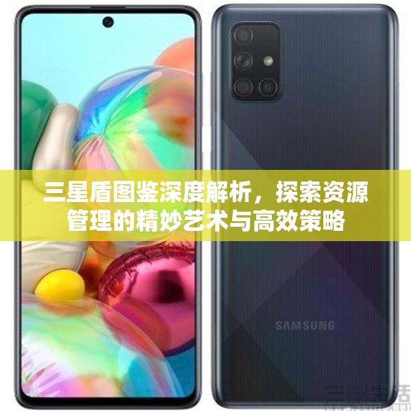 三星盾图鉴深度解析，探索资源管理的精妙艺术与高效策略