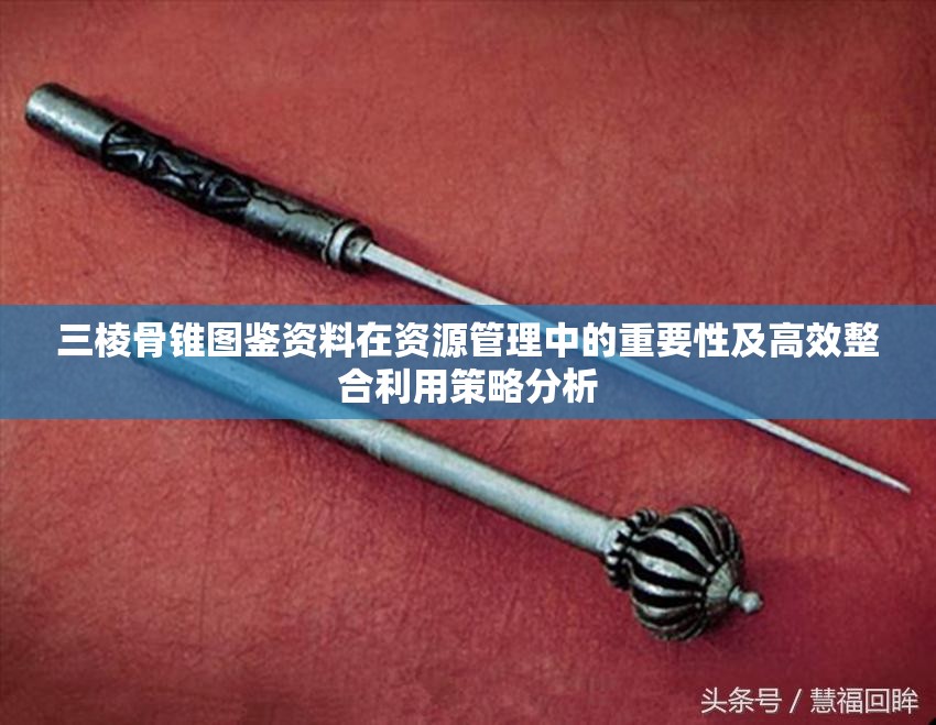 三棱骨锥图鉴资料在资源管理中的重要性及高效整合利用策略分析