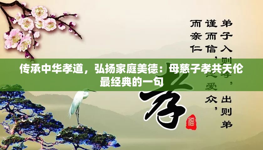传承中华孝道，弘扬家庭美德：母慈子孝共天伦最经典的一句