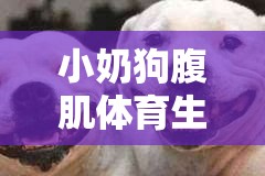 小奶狗腹肌体育生天台放烟花：绚烂青春的浪漫瞬间