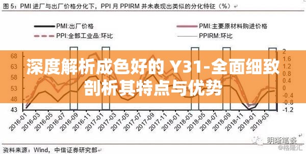 深度解析成色好的 Y31-全面细致剖析其特点与优势
