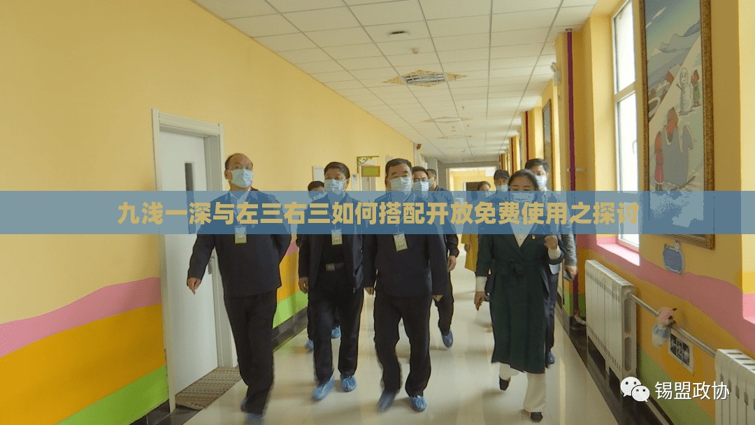 九浅一深与左三右三如何搭配开放免费使用之探讨