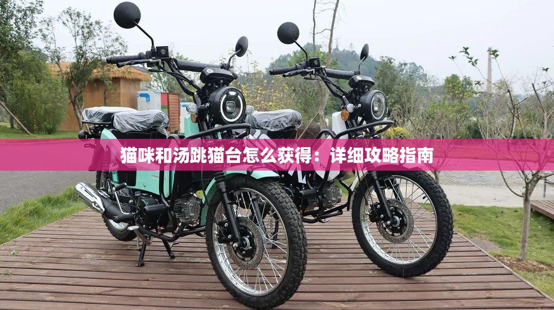 猫咪和汤跳猫台怎么获得：详细攻略指南