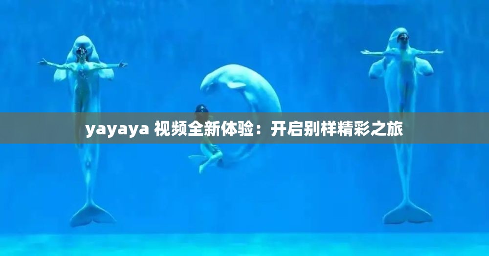 yayaya 视频全新体验：开启别样精彩之旅