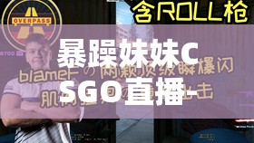 暴躁妹妹CSGO直播-展现非凡操作与火爆风格