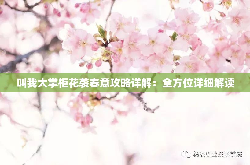 叫我大掌柜花袭春意攻略详解：全方位详细解读