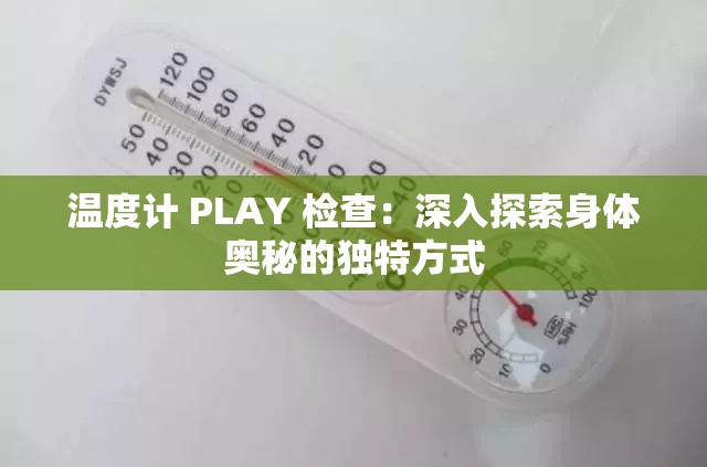 温度计 PLAY 检查：深入探索身体奥秘的独特方式