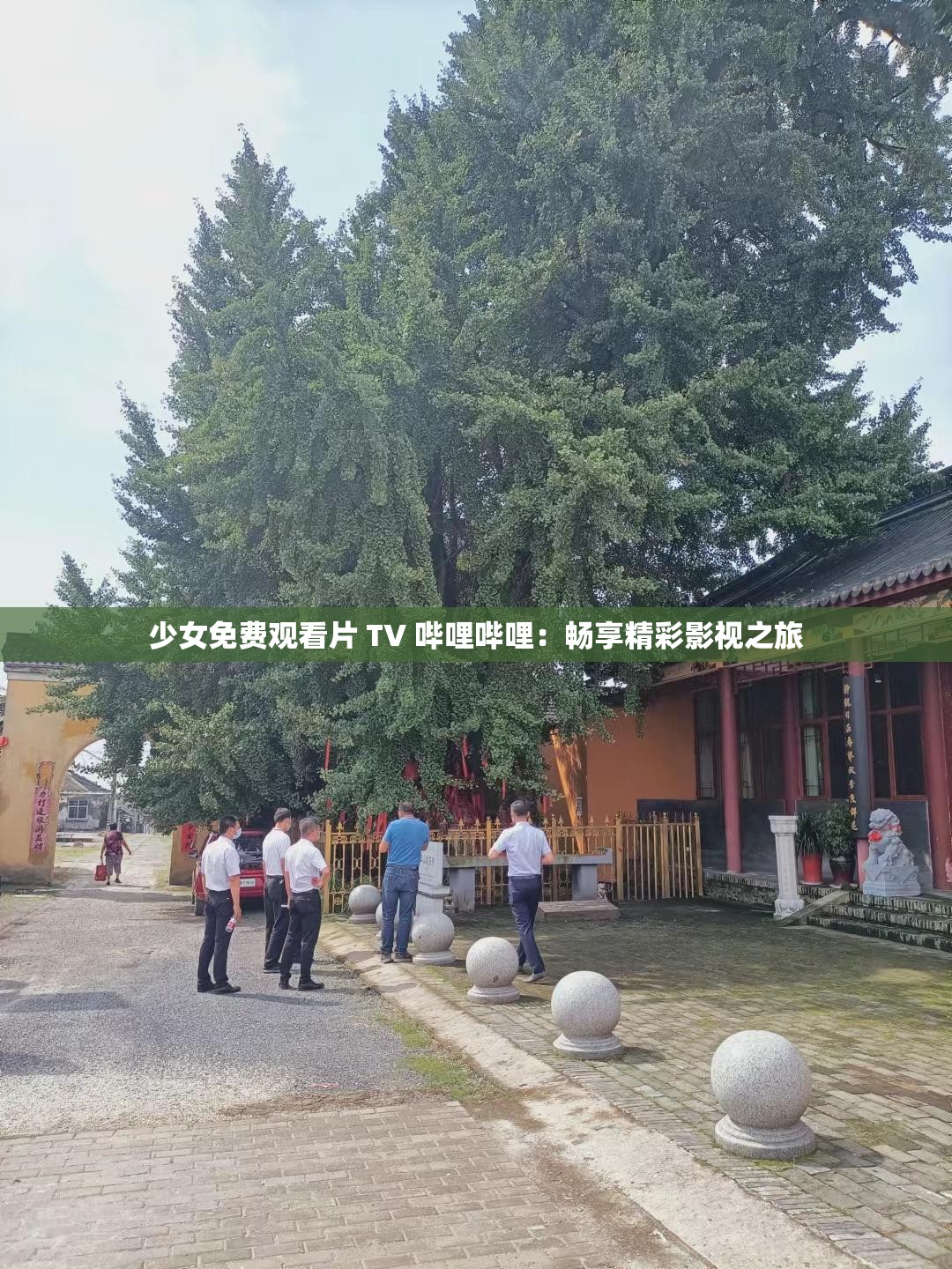 少女免费观看片 TV 哔哩哔哩：畅享精彩影视之旅