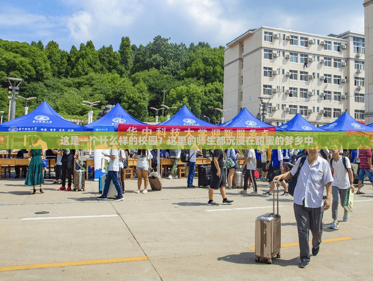这是一个什么样的校园？这里的师生都沉浸在甜蜜的梦乡中