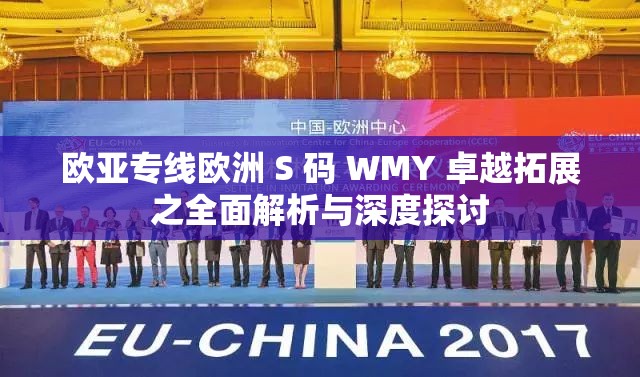 欧亚专线欧洲 S 码 WMY 卓越拓展之全面解析与深度探讨