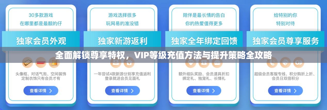 全面解锁尊享特权，VIP等级充值方法与提升策略全攻略