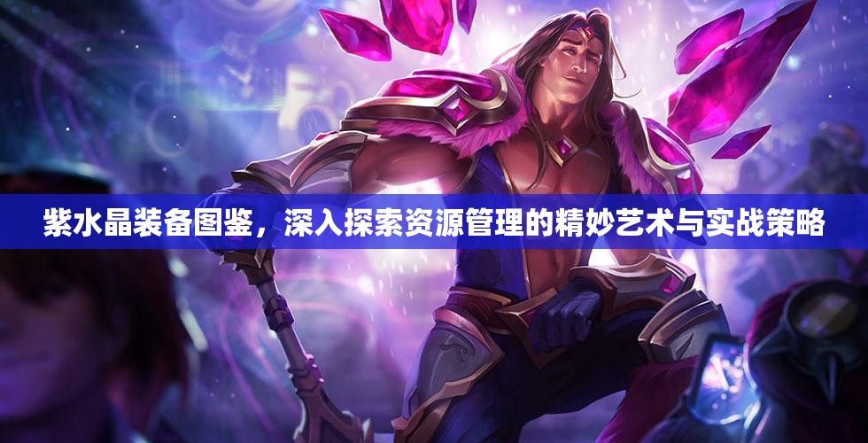 紫水晶装备图鉴，深入探索资源管理的精妙艺术与实战策略