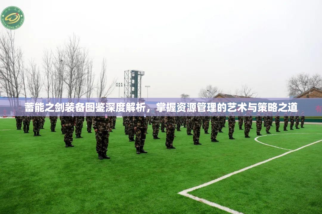 蓄能之剑装备图鉴深度解析，掌握资源管理的艺术与策略之道