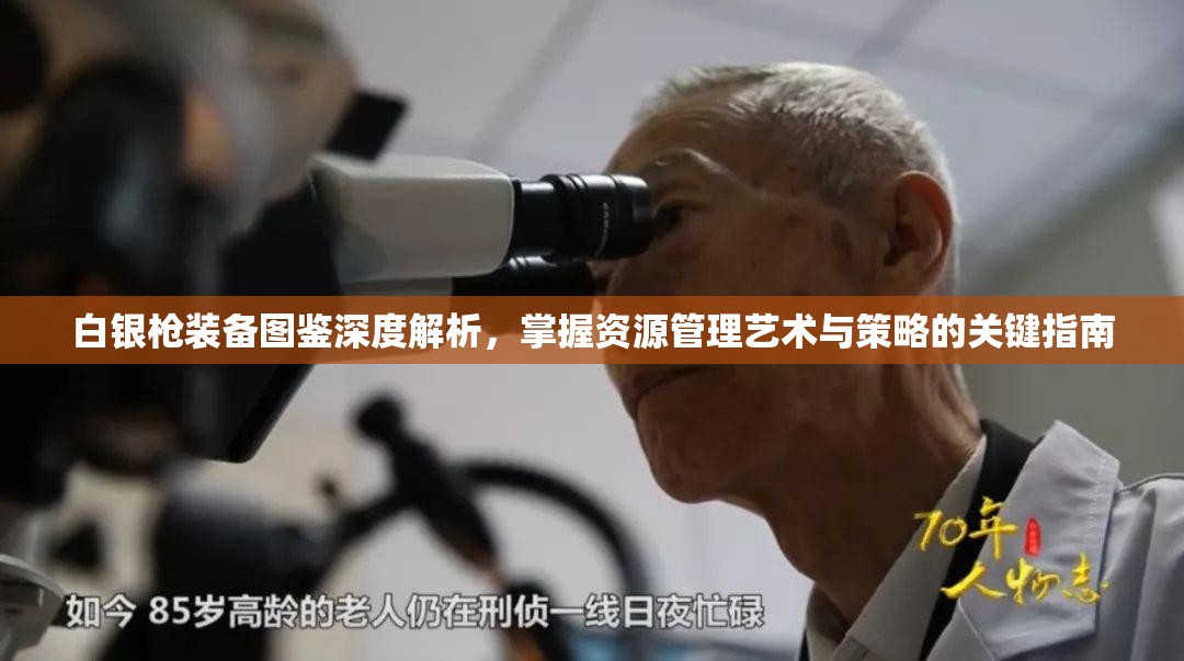 白银枪装备图鉴深度解析，掌握资源管理艺术与策略的关键指南