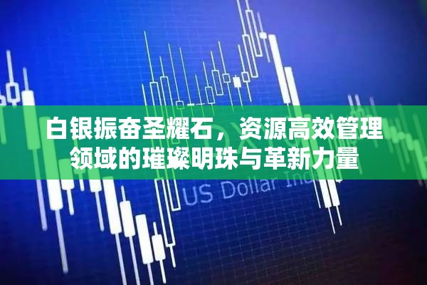 白银振奋圣耀石，资源高效管理领域的璀璨明珠与革新力量
