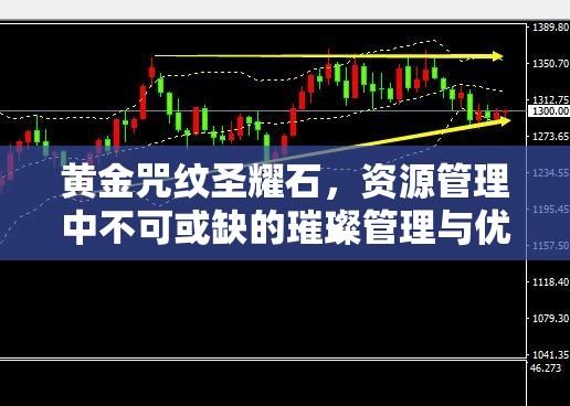 黄金咒纹圣耀石，资源管理中不可或缺的璀璨管理与优化明珠