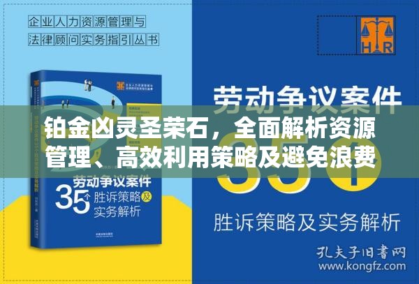 铂金凶灵圣荣石，全面解析资源管理、高效利用策略及避免浪费方法