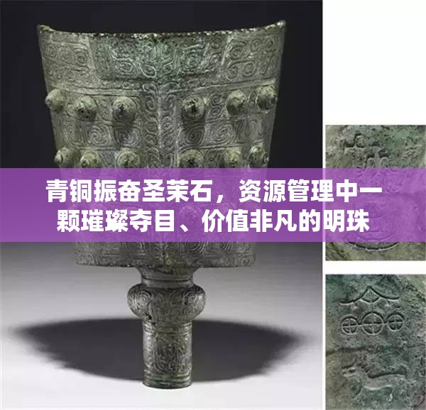 青铜振奋圣茉石，资源管理中一颗璀璨夺目、价值非凡的明珠