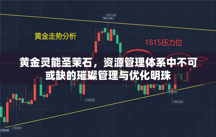 黄金灵能圣茉石，资源管理体系中不可或缺的璀璨管理与优化明珠