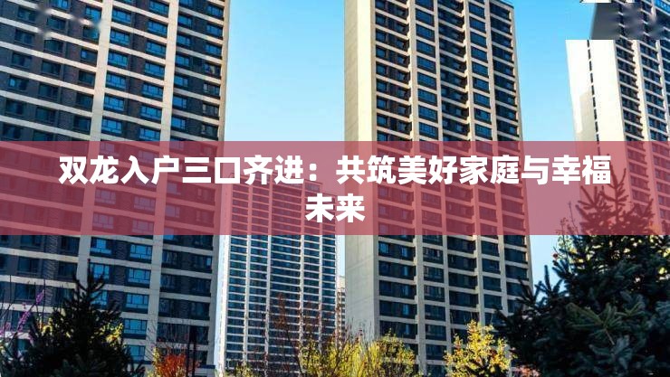 双龙入户三口齐进：共筑美好家庭与幸福未来