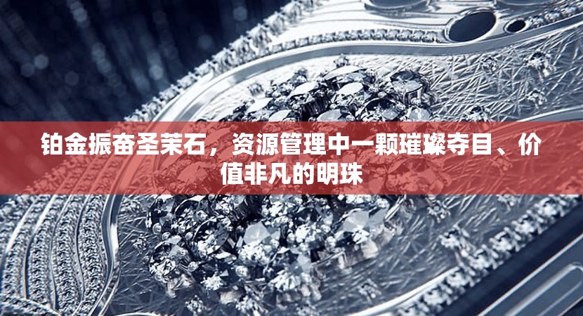 铂金振奋圣茉石，资源管理中一颗璀璨夺目、价值非凡的明珠