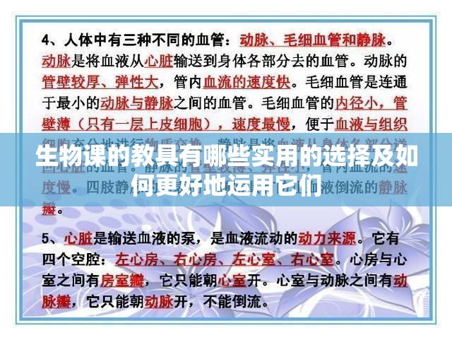 生物课的教具有哪些实用的选择及如何更好地运用它们