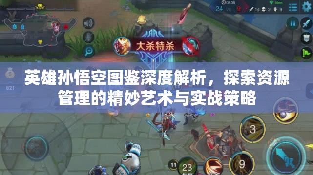 英雄孙悟空图鉴深度解析，探索资源管理的精妙艺术与实战策略