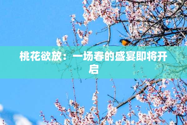 桃花欲放：一场春的盛宴即将开启