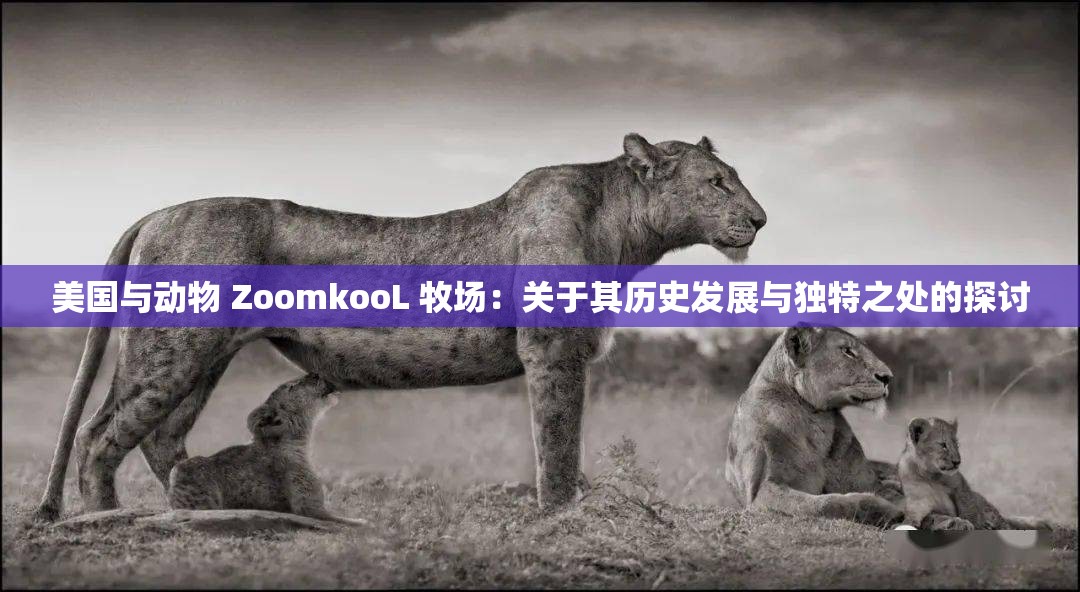 美国与动物 ZoomkooL 牧场：关于其历史发展与独特之处的探讨