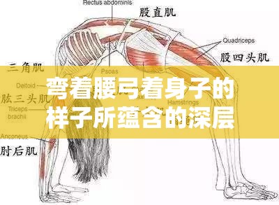 弯着腰弓着身子的样子所蕴含的深层含义探讨