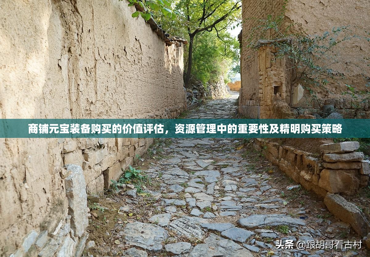 商铺元宝装备购买的价值评估，资源管理中的重要性及精明购买策略