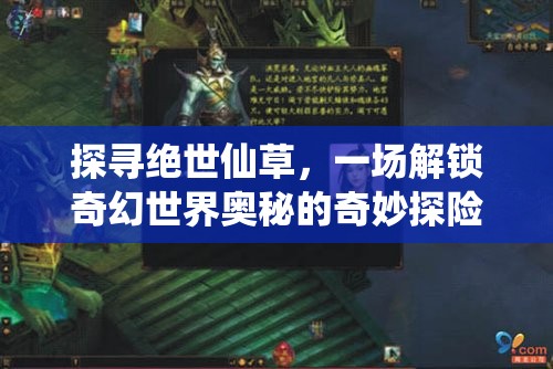 探寻绝世仙草，一场解锁奇幻世界奥秘的奇妙探险活动