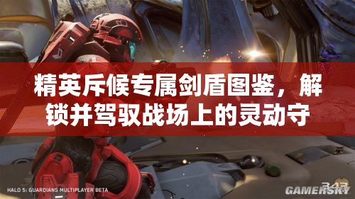 精英斥候专属剑盾图鉴，解锁并驾驭战场上的灵动守护者与战术先锋