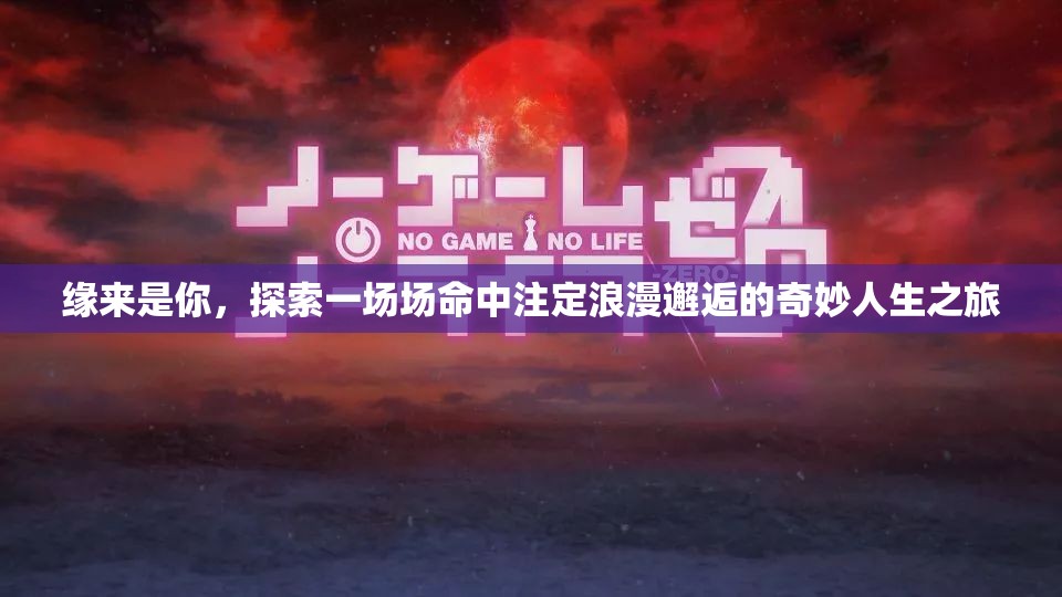 缘来是你，探索一场场命中注定浪漫邂逅的奇妙人生之旅