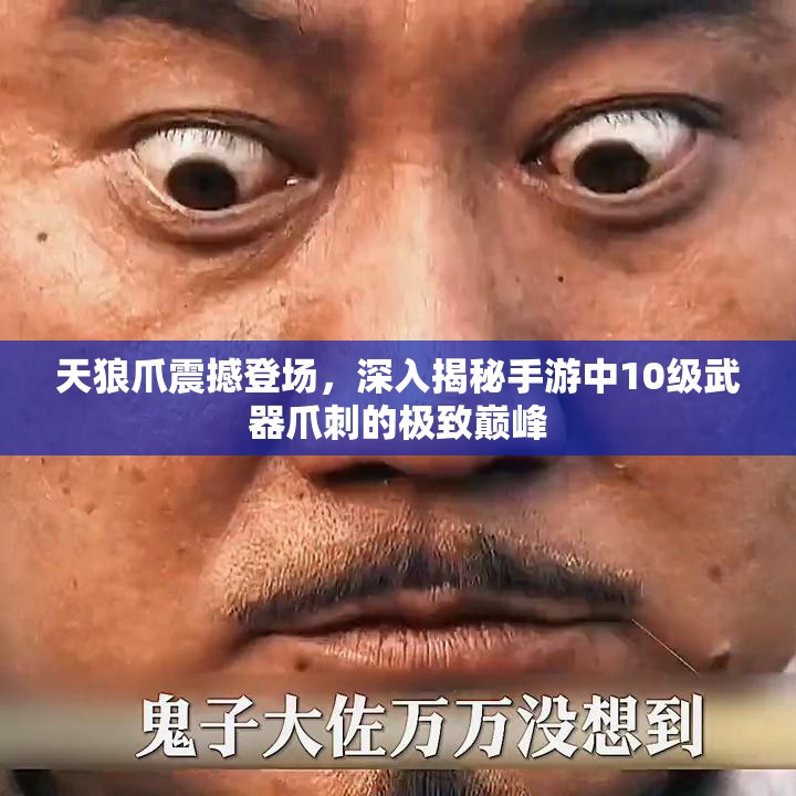 天狼爪震撼登场，深入揭秘手游中10级武器爪刺的极致巅峰